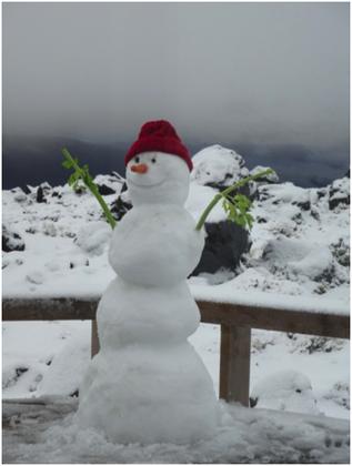 Snowman