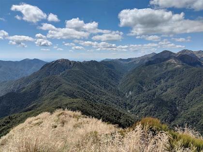 Looking back at the Dracophyllum section from Mt Nichols, Pukematawai in the far distance