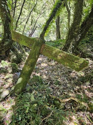Old sign near Neill Forks Hut, credit Sara