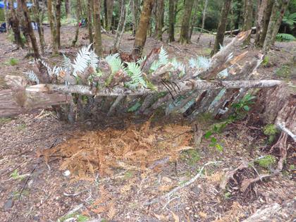 Bram’s Bear Grylls shelter