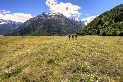 Mathius Valley