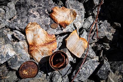 Contents of the summit tin on The Camel