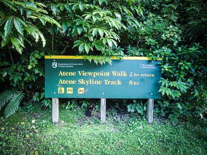 DOCs sign at the up-river track carpark on the Whanganui River Road