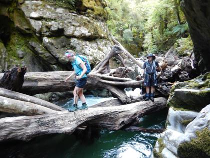 Near the beginning of the gorge there was a log jam, with some conveniently placed logs to balance on. Thanks to Tony S for a helping hand getting over these! Photo credit: Tony S.