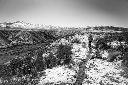 Track to Boundary Creek Hut