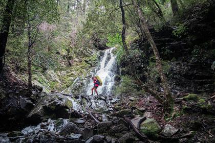 Passing waterfall on Goulter Track