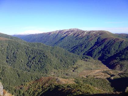 Kaimanawa Range