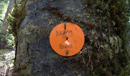 An encouraging sign to help us get up the second hill. Photo credit: Aimee.