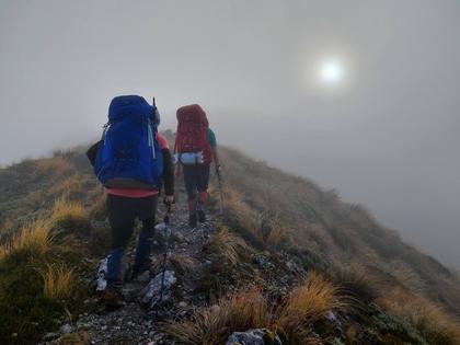 In the clag above the bushline (Photo credit: Emily)
