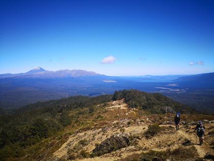 View toward Rotoaria with flat-topped Hikurangi on the horizon (R)