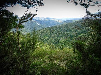 Looking North up the Whanganui River valley