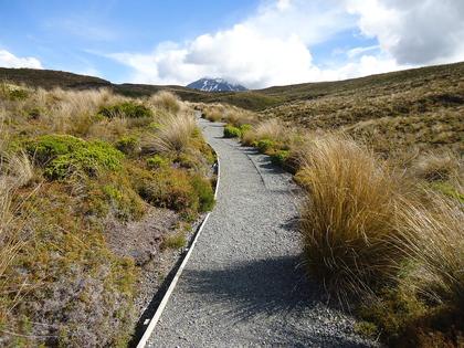 There are sections in this last leg where the path seems to go on and on and on