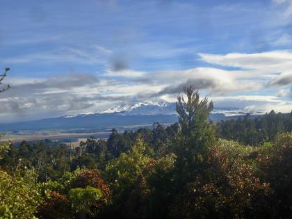 Mt Ruapehu from Mt Hihitahi summit