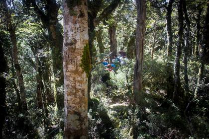 Blue Range on the way to Mitre Flats hut