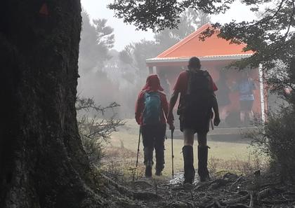 Tramping through mist to hut