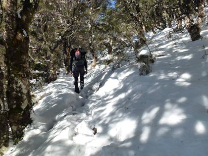 St Arnaud Track