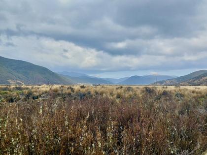 The expansive Ngaruroro Valley. Spot the plane.