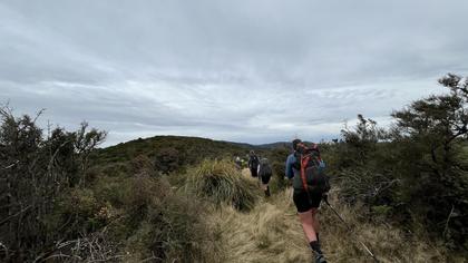 Travelling over the tops before dropping down to Punga Hut
