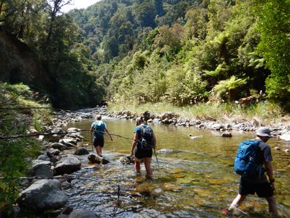 In the river at last! Photo credit: Tony S.