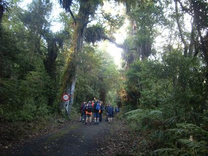 Wainumata-catchment-walk1