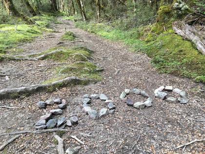 The sight that awaits Te Araroa walkers after they’ve gone 2000km from the starting point on top of the North Island