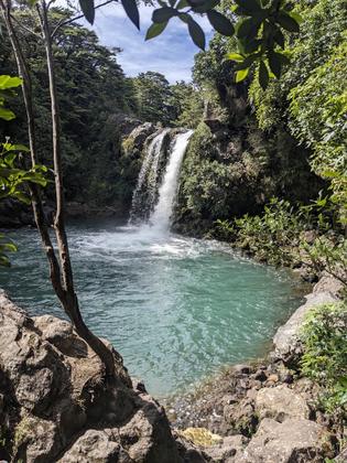 Tawhai Falls
