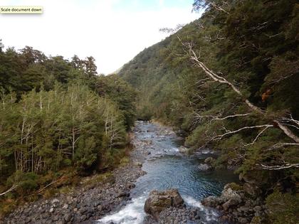 Waingawa River from the swing bridge