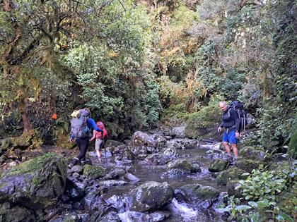 Crossing the Coal Stream
