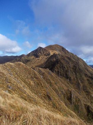 View to Pinnacles