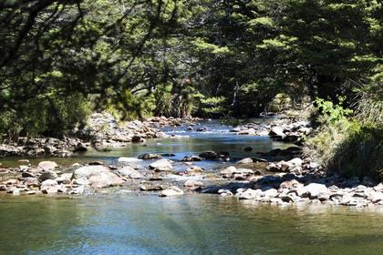 Cobb River