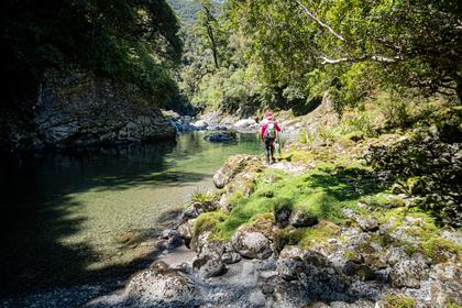 Easy travel down the gorge below Mid Waiohine Hut