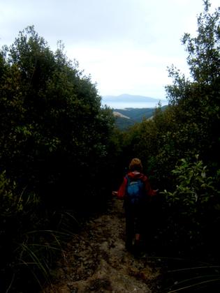DSCF0953