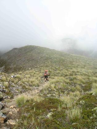Along the ridgeline and into the mist.