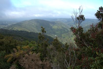 First view from the top of the 4WD track. Photo credit: Aimee