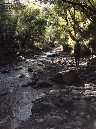 Walking along the river (Photo credit: Aimee)