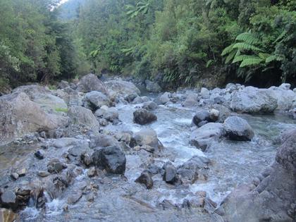 Penn Creek in the Tararua Ranges