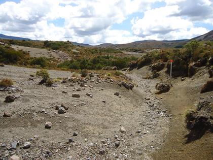 Heading to Tama Saddle from Waihohonu Hut