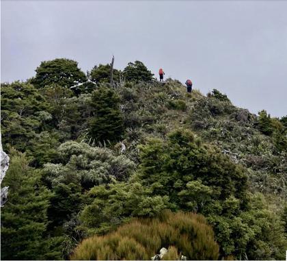 Making our way to Mt Marchant. Photo credit: Jozef