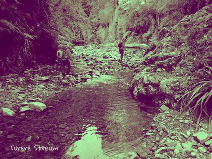 Turere Stream Waterfall