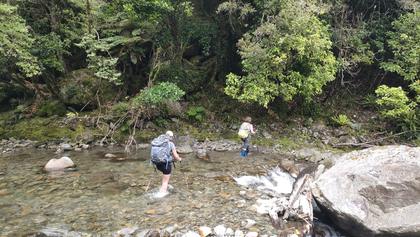 Crossing the Tregear Stream, sidle track to get to the logging road just to the right [Anne].
