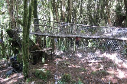 A hunter’s campsite after the exposed top. Photo credit: Aimee