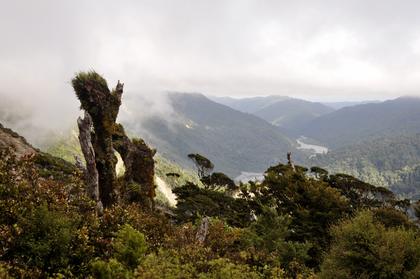 Misty mountain tops