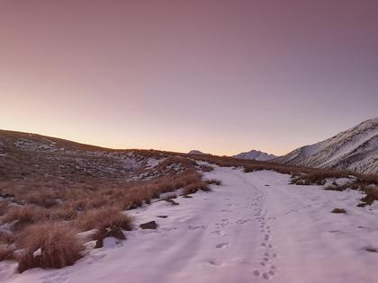 Dogs Range alpenglow