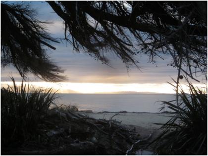 Beach near Whariwharangi hut