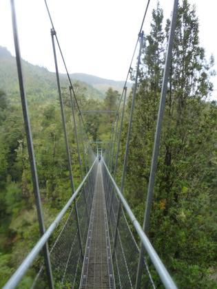 Waiohine Gorge swing bridge. Photo credit: Sarah