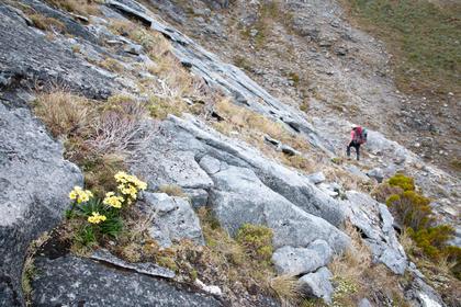 Sidling Mt Allen