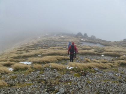 into the mist