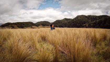Walking through tussock flats on the way to Green Lake Hut