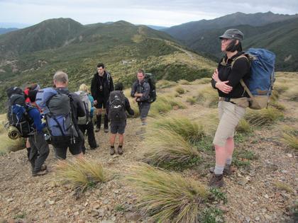 Overlooking Longview Hut