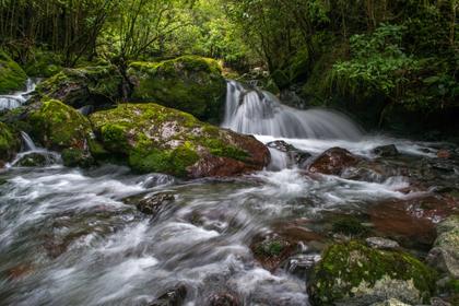 Awesome River. Photo credit: Fiona